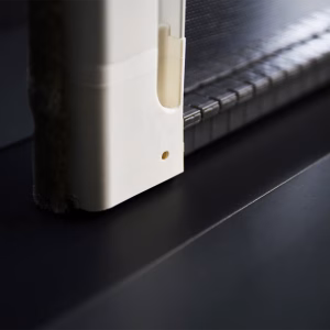 Zanzariera neoscenica